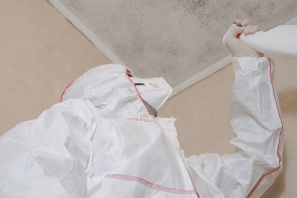 Mold Remediation for Specific Building Types